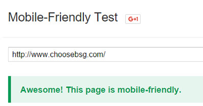 Mobile Friendly Test Success